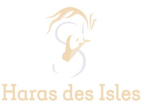 Haras des Isles
