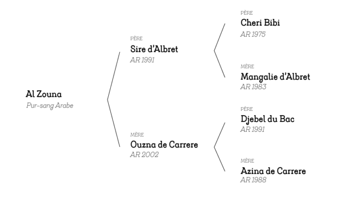 Alzouna-pedigree